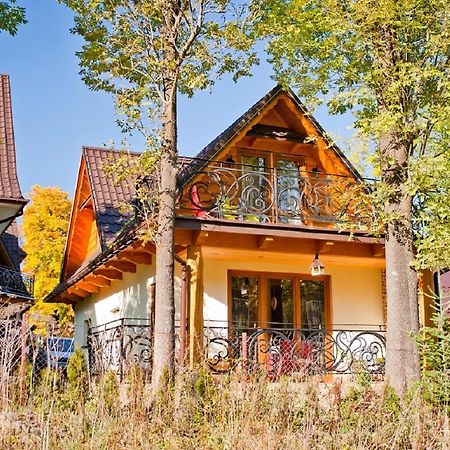 Domki Narciarskie Zakopane Zewnętrze zdjęcie
