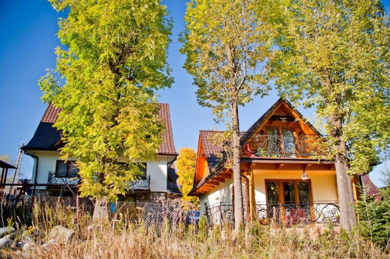 Domki Narciarskie Zakopane Zewnętrze zdjęcie