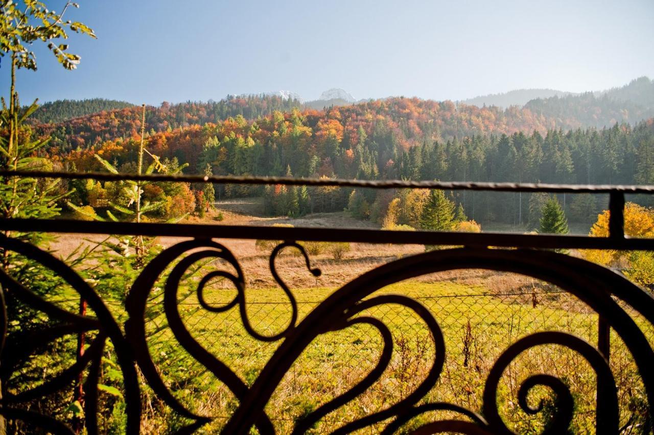 Domki Narciarskie Zakopane Zewnętrze zdjęcie